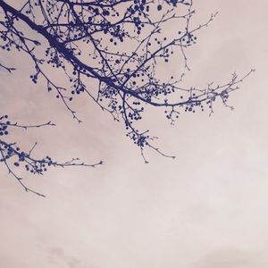 Meet your Posher, Jasmin